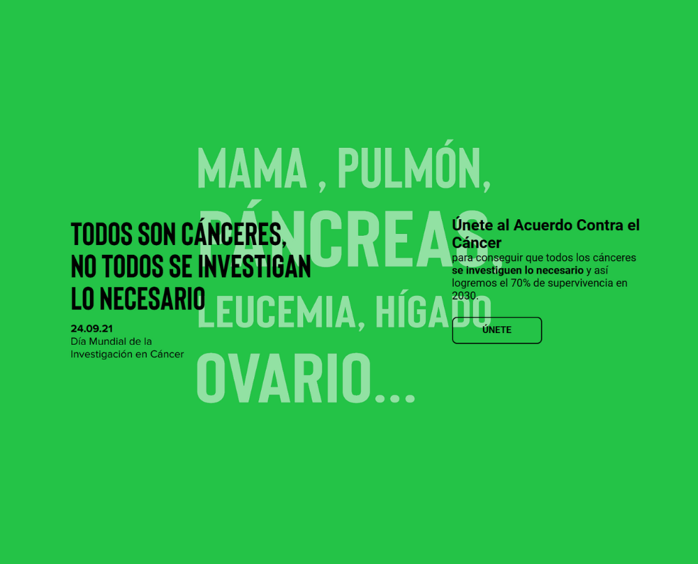 rebranding en campañas